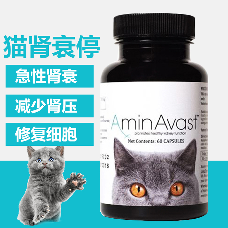 美国AminAvast肾衰停猫狗胺肾透急慢性肾衰竭肝损伤降磷肌酐病康 - 图0