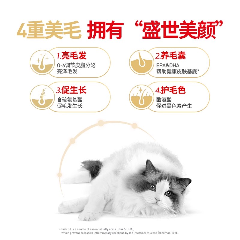 皇家布偶成猫粮RA32美亮毛益肤帮助消化营养长毛猫专用主粮10kg - 图1