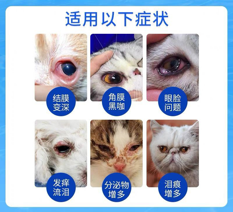 日本千寿滴眼液宠物猫狗用结角膜腐骨消炎溃疡抗菌红瓶流眼泪药水