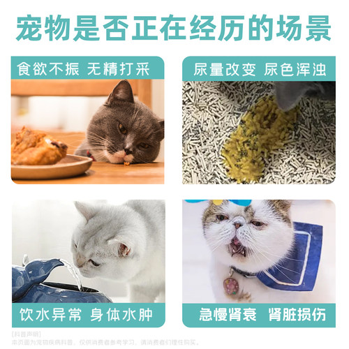 澳滋麦安肽活宠物狗猫胺肾衰停透活急慢性肾衰竭炎降磷肌酐尿素氮 - 图0