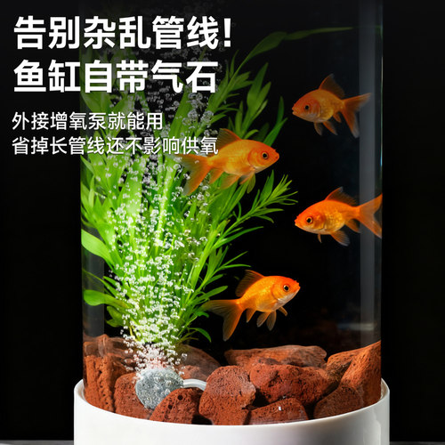 圆柱体鱼缸创意小型客厅桌面加厚玻璃金鱼家用生态缸造景水族箱 - 图2