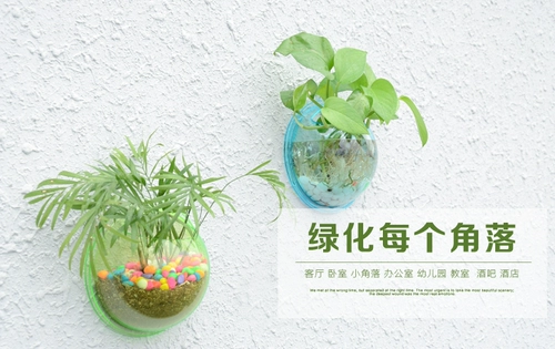 Стена -Ориентированная на стена -рыбная аквариум Творческая стена декоративная подвеска зеленый укроп Цветочный горшок Комната подвесная настенная ваза