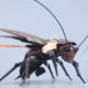 Assembled model of large cockroach heavy-duty multi-purpose vehicle