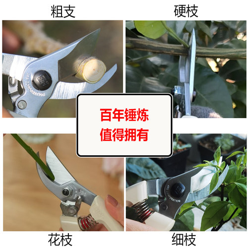 爱丽斯ars130进口修枝剪刀果树剪花艺剪刀园艺盆景剪刀花艺师剪 - 图1