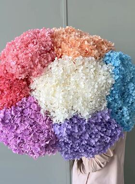 永生花安娜绣球花干花整枝带杆