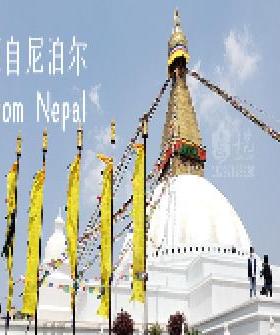 尼泊尔精品释迦牟尼佛 带背光底座 释迦摩尼铜鎏金摆件 高度53cm