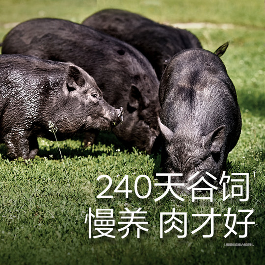 babycare光合星球儿童黑猪肉肠零食即食玉米热狗烤肠6大无添加盐