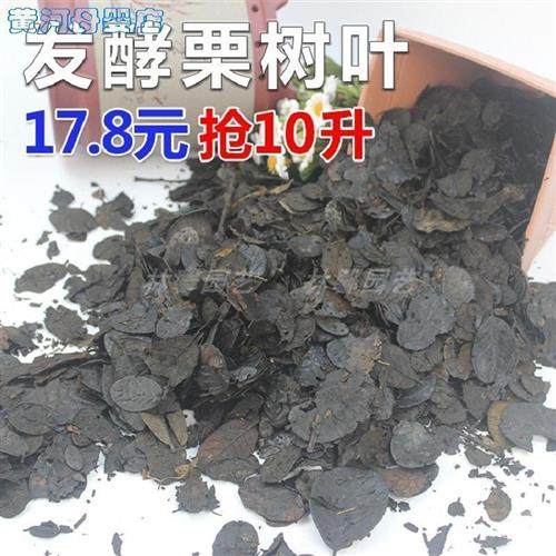 速发栗树营养液云营发酵叶兰花栽培基质土植料耳叶腐叶土种植质料,淘宝优惠券,粉丝福利购,淘宝优惠卷