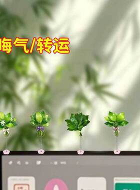 柚子叶亚克力钥匙扣25