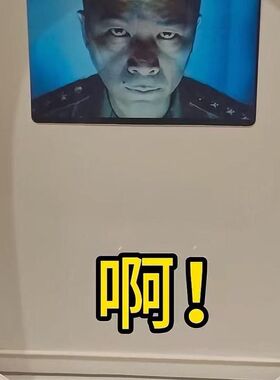 小红书同款凌凌漆光栅恶搞马桶贴