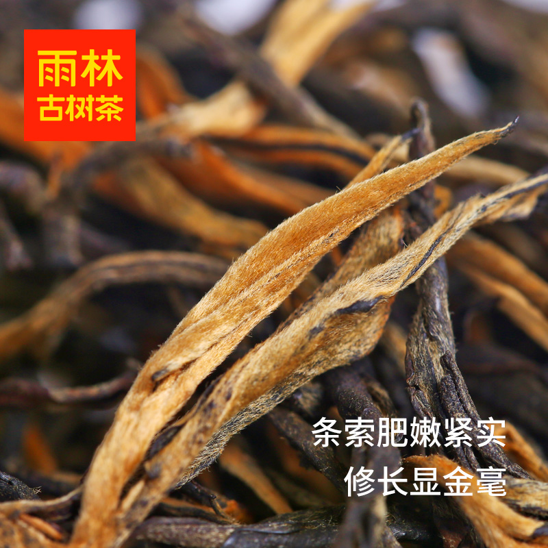 雨林古树茶 2024年春山红茶 云南大叶种古树红茶滇红茶罐装100g - 图1