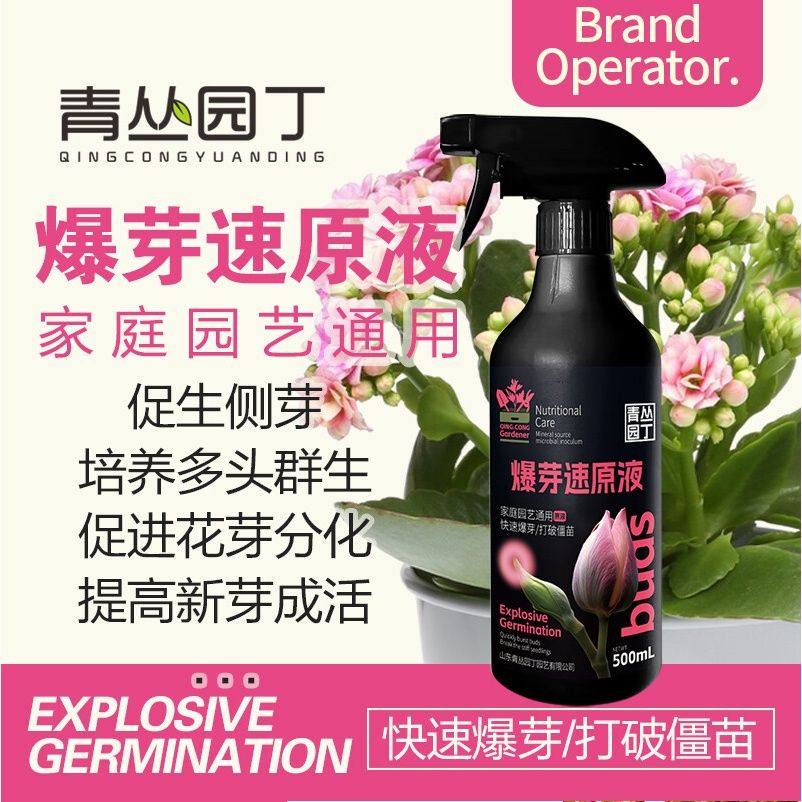 爆芽速原液多芽促芽催芽分化叶插花植物多肉绿植通用型花卉植物,淘宝优惠券,粉丝福利购,淘宝优惠卷