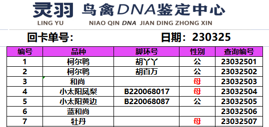 灵羽鸟禽DNA鉴定验卡玄凤牡丹虎皮全类鹦鹉柯尔鸭性别公母检验检