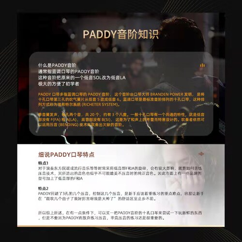 EASTTOP东方鼎正品蓝调初学布鲁斯十孔口琴学生入门专业演奏T008K - 图1