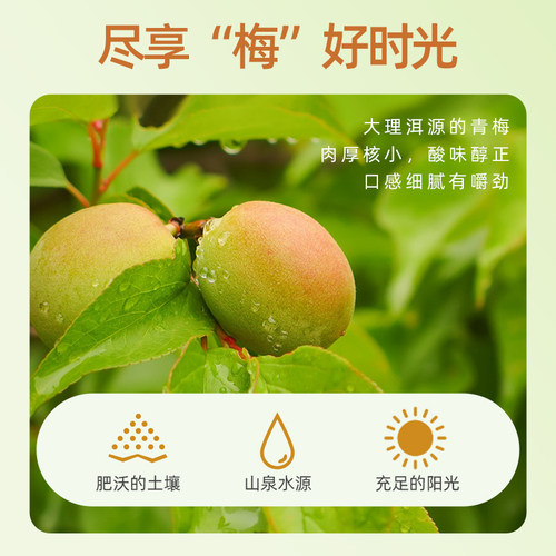 洱宝话梅干零食泡茶水孕妇云南老式话梅王粒咸青梅子果脯蜜饯商用 - 图1