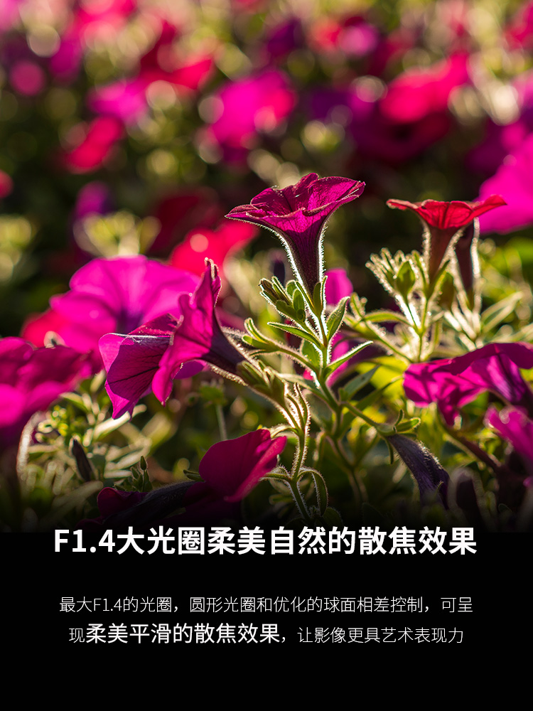 图丽23mm F1.4大光圈广角人像定焦微单相机镜头适用索尼A6700E口-图0