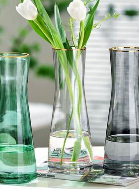 大号欧式简约玻璃花瓶北欧ins风摆件家居装饰客厅花瓶感水养