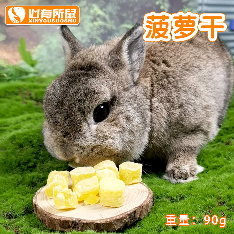 Jolly菠萝干仓鼠零食兔粮龙猫豚鼠天竺鼠荷兰猪饲料小宠食物,淘宝优惠券,粉丝福利购,淘宝优惠卷