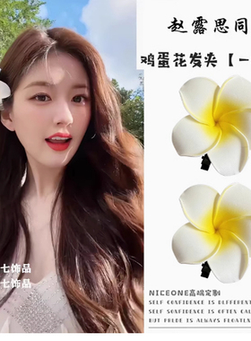 女士甜美边夹鸡蛋花发饰