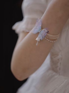 薄纱立体蝴蝶少女流苏项链颈链