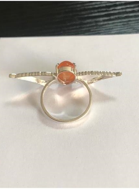 二次元初代家庭教师彭格列