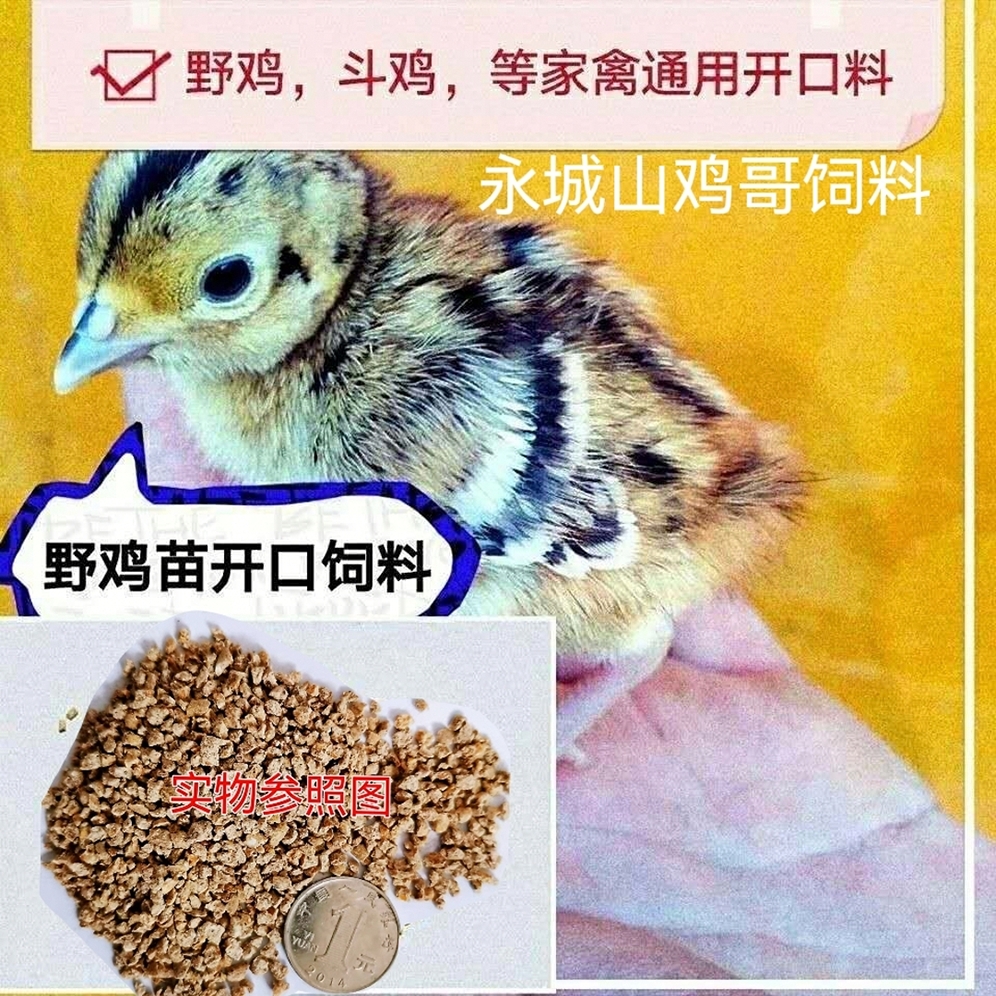 七彩山鸡幼苗饲料刚出生小鸡雏饲料斗鸡竹鸡鹧鸪鹌鹑通用四斤包邮 - 图0