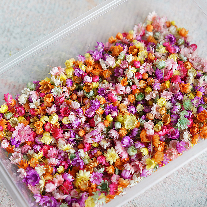 140/280pcs Flowers Little Star Flower Head DIY Craft Epoxy R - 图0