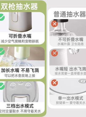 双枪电动抽水器2025新款
