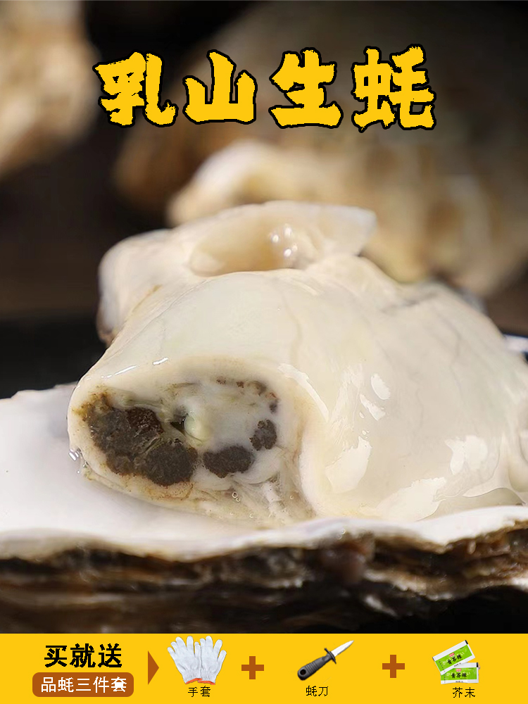 乳山生蚝鲜活特大10斤带箱烧烤牡蛎商用即食刺身海蛎子老姜家-图0