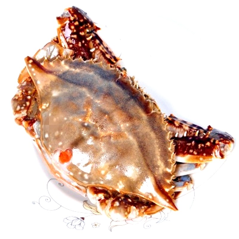 宁波特产海鲜水产正宗舟山红膏呛蟹咸蟹梭子蟹螃蟹整只350g,淘宝优惠券,粉丝福利购,淘宝优惠卷