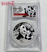 2024 Panda Silver coin 30 gr 24 years Panda Silver coin 24 years Panda Silver coin Letter Thai on the first day 70