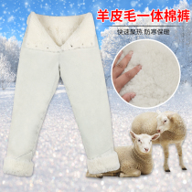 Lamb fur integrated cotton pants male middle aged high waist genuine leather leather pants warm and cold resistant whole sheepskin pants wool liner