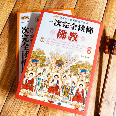 正版全2册图解一次完全读懂佛教 佛经学佛经佛学佛教入门基础知识金刚经心经坛经楞严经学禅宗论无量寿经法华经华严经心经书籍 虎窝淘