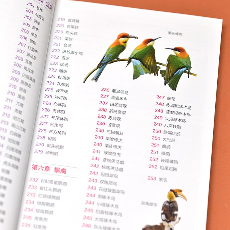 鸟图鉴鸟类观察手册 世界鸟类行为动物科普图鉴 珍惜森林草原野鸟形态鸟类图鉴野生动物百科观鸟手册鸟类大全鸟类生态大图鉴大全书,淘宝优惠券,粉丝福利购,淘宝优惠卷