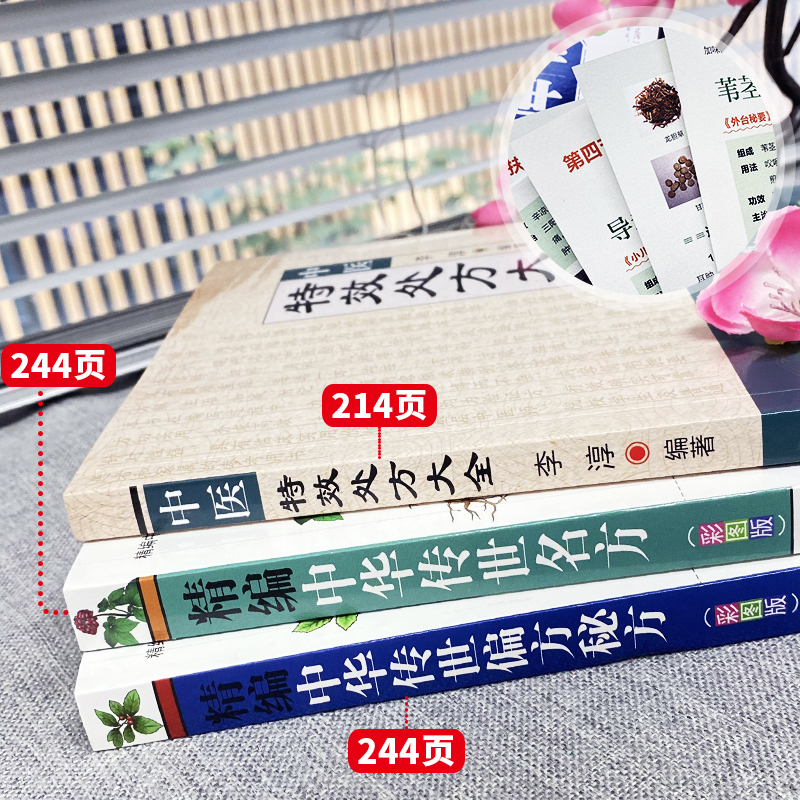 3册正版中医特效处方大全书李淳著中华传世名方中华传世偏方秘方中医理论基础老偏方书常见秘方中草药材抓配方剂中医养生书籍-图1