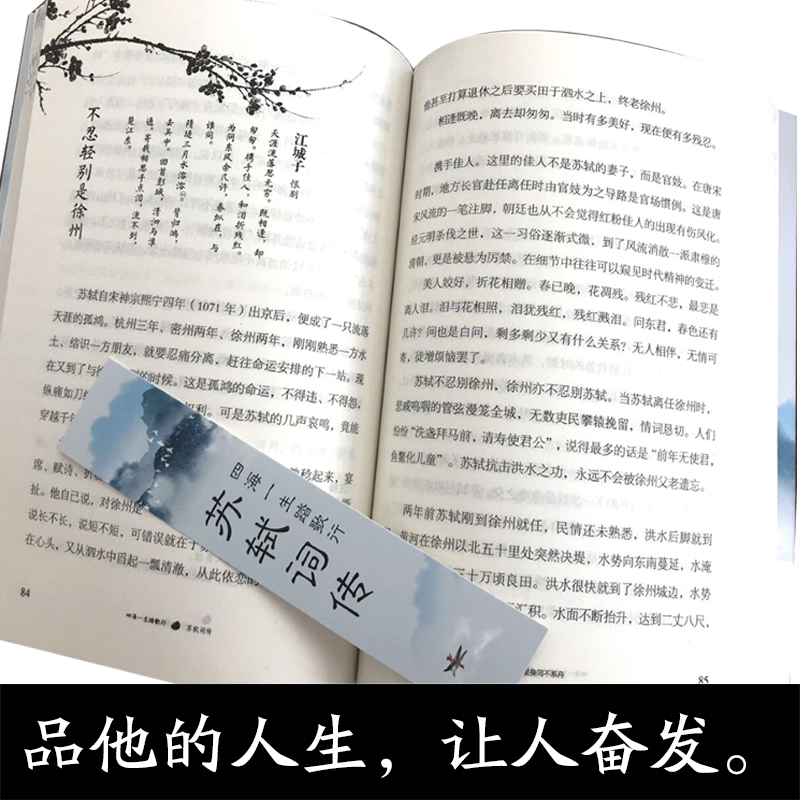 35元任选5本苏轼词传四海一生踏歌行中国古典诗词校注评题解注释汇评 唐诗宋词歌赋唐宋八大家苏东坡居士诗词集苏东坡诗词畅销书籍 - 图2