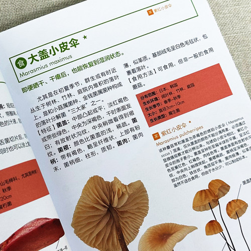 实用野生蘑菇鉴别宝典大作晃一吹春俊光野生蘑菇使用图鉴蘑菇种类大全食用蘑菇菌菇松茸菌类野生菌类识别方法常见毒蘑菇辨别方法书 - 图2