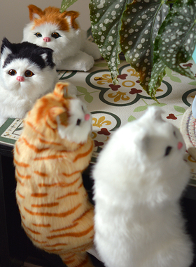 可爱猫咪家居装饰挂件摆件毛绒