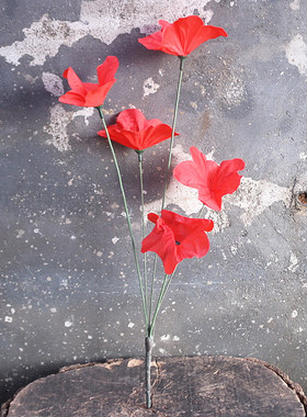 室内君子兰摆件塑料茶几假花