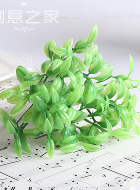 仿真荷叶道具绿植道具绿叶
