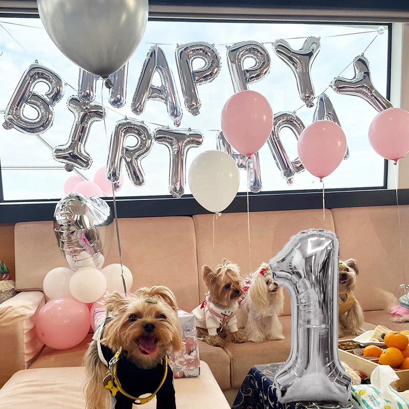 宠物小狗狗猫咪1岁2岁3岁4岁生日装饰场景布置背景墙气球派对装扮,淘宝优惠券,粉丝福利购,淘宝优惠卷