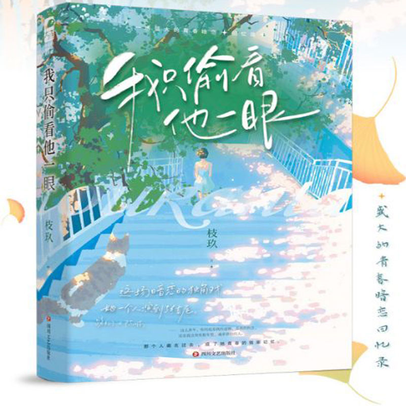 【大鱼文学】我只偷看他一眼 枝玖著 校园暗恋 BE 意难平 已完结 都市言情小说 青春校园初恋甜宠文 暗恋悲文美文回忆录小说书现货 - 图1