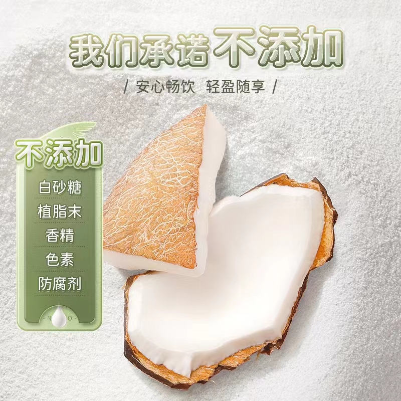 【南国食品】纯椰子粉308g海南特产 无添加白砂糖椰子汁奶冲饮 - 图1