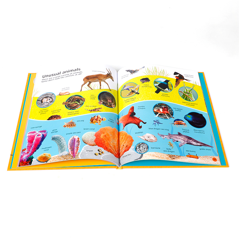 英文原版 DK 1000 Animal Words: Build Animal Vocabulary and Literacy Skills DK动物1000词 认知启蒙 动物主题 单词学习 - 图1