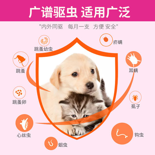 大宠爱幼猫犬用体内外一体去跳蚤滴剂耳螨心丝虫体外驱虫药单支装