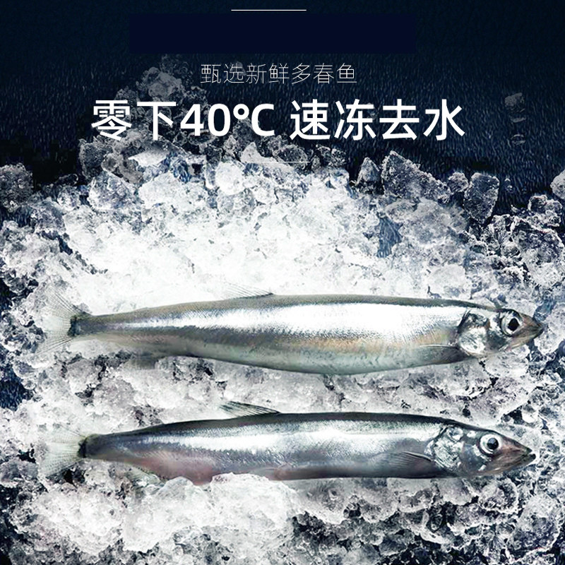 味途多春鱼冻干猫零食小鱼干幼猫粮 迈仕宠物用品猫零食