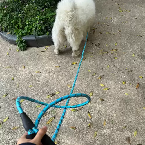 Повод для домашних животных антиодащные и защищенные от взрыва поводки поводка круглая веревка по веревке без поводка без поводка