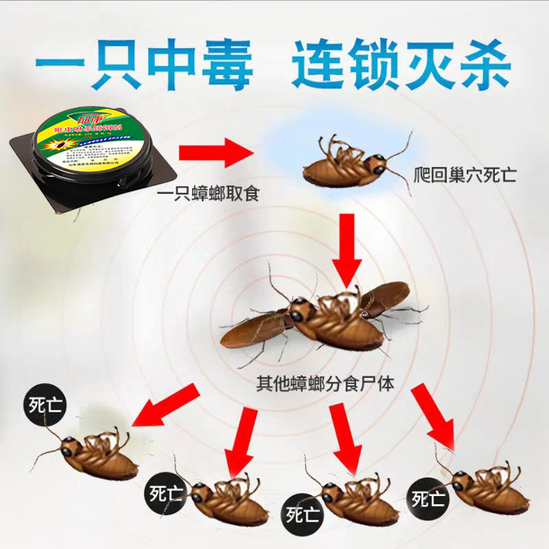 蟑螂药郁康一锅全窝端孕妇婴儿家用非无毒曱甴脏螂小强药绝杀正品 - 图0