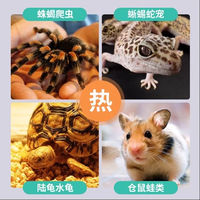 水族观赏鱼运输加热包爬虫爬宠物暖宝宝保温发热包48/72/110小时,淘宝优惠券,粉丝福利购,淘宝优惠卷