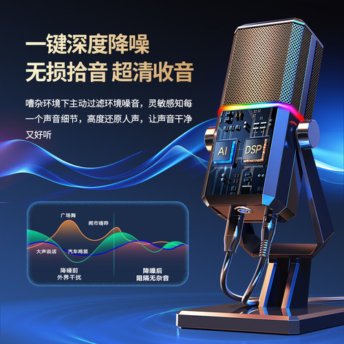 直播麦克风电脑台式游戏专用降噪话筒会议网课电竞USB录音电容麦 - 图0